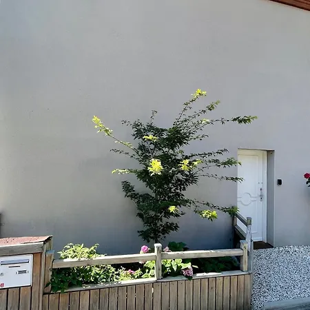 Cosy A Avec Jardin, Jacuzzi Et Sauna - Proche Unesco Et Chemins De Randonnee - Fr-1-582-354 *