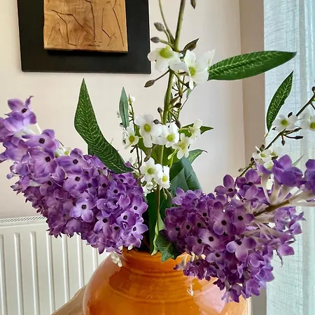 Casa vacanze Cosy à Avec Jardin, Jacuzzi Et Sauna - Proche Unesco Et Chemins De Randonnée - Fr-1-582-354 Aiguilhe