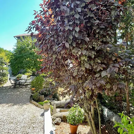 Venkovský dům Cosy A Avec Jardin, Jacuzzi Et Sauna - Proche Unesco Et Chemins De Randonnee - Fr-1-582-354 Aiguilhe
